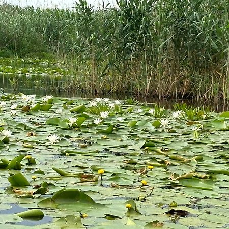 Casa Munteanu Hotel Mila Douăzeci şi Trei Eksteriør billede